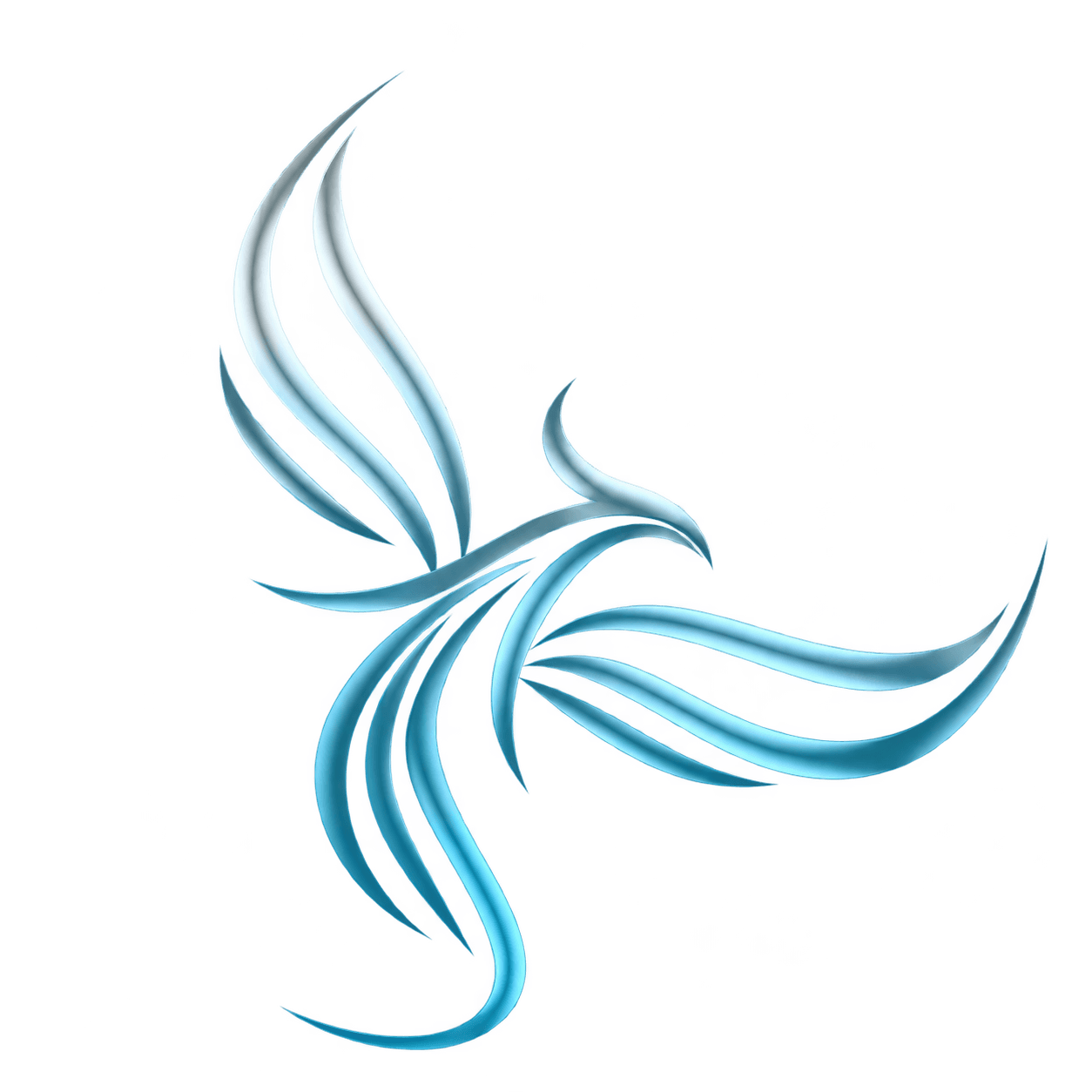 Anka Plastic Surgery logo